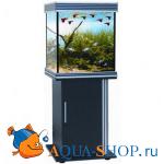  Anubias B-550M, 170 , , 2x24W T5, 55x55x65 , 
