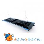  Zetlight  ZT6600 200,   ,  