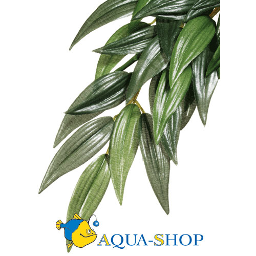    Hagen EXO TERRA RUSCUS Medium