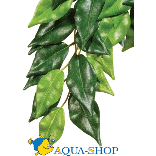    Hagen EXO TERRA FIKUS Large