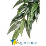    Hagen EXO TERRA RUSCUS Medium