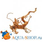  SPIDER ROOT (), 50-80   1 
