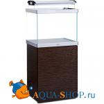  Anubias F-600 (+), 120, .60x45x50,  ( )