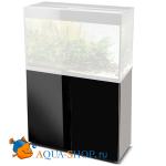    Aquael GLOSSY 80