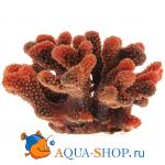 Коралл пластиковый красный 24х21х13 см