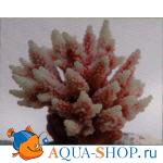 Коралл пластиковый перламутровый, 11,5х10х9 см