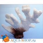 Коралл пластиковый белый 13х5х11 см