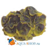 Коралл пластиковый желто-зелёный 14х12х7см