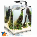    Aquael Shrimp Set 10 SMARTPLANT 