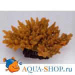 Коралл пластиковый желтый, 14х11.5х6.5 см