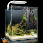    Aquael Shrimp Set 20 SMARTPLANT 