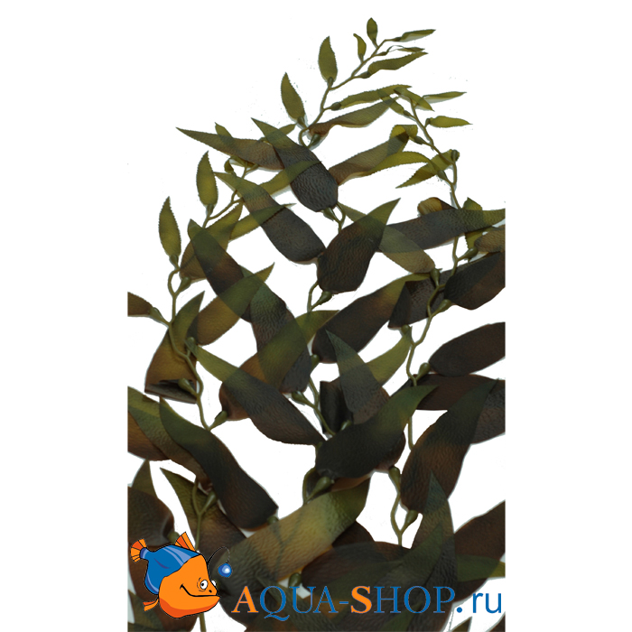 Растение шелковое, морские водоросли 50 см