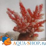 Коралл искусственный, 12х7х11 см перламутровый