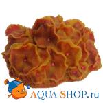 Коралл пластиковый желто-красный, 14х12х7 см
