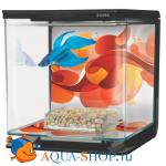  Hagen Marina Betta Kit Sun Swirl 2