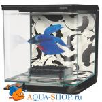 Hagen Marina Betta Kit Ying/Yang 2