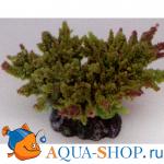 Коралл пластиковый зеленый 14х11,5х6 см