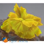 Коралл силиконовый желтый 14х11х9см