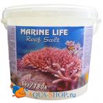   Marine Life reef ( 6 )