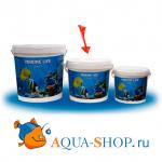   Marine Life ( 13 )
