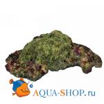   Live Rock Replica 23, 553217