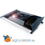 C Zetlight ZT6500, ,  , 40264 