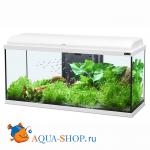  AQUATLANTIS AQUADREAM 80, , 803045 , 90