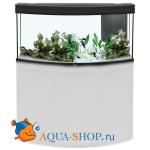  AQUATLANTIS FUSION HORIZON 120,  , 120x50x60 , 252