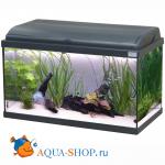  AQUATLANTIS AQUADREAM 60, , LED, 60x30x40 , 54