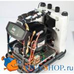    TR10