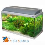  AQUATLANTIS AQUADREAM 60  T8+FIL, 60x30x40 , 54