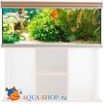  AQUATLANTIS EVASION, 120X50X70 , , 375