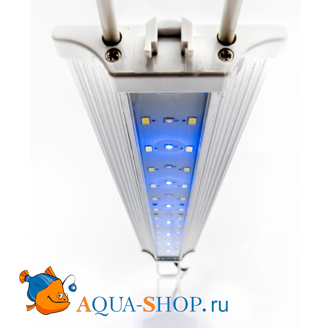  Zetlight LED Zp4000-590   5  8 