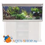  AQUATLANTIS EVASION, 120X50X70 ,  , 375