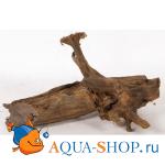   Aquael  M