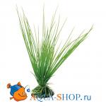 .   FERPLAST, 20 