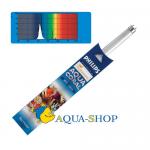  FERPLAST T8 AquaCoral 38 105
