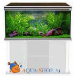  AQUATLANTIS EVASION, 1206075 , , 485