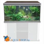  AQUATLANTIS EVASION, 120X60X75 ,  485