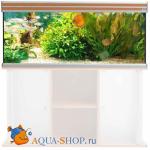  AQUATLANTIS EVASION, 120X60X75 ,  485