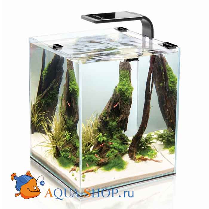 Аквариум Aquael Shrimp Set 10 для креветок SMARTPLANT черный
