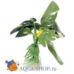Анубиас. Растение шелковое FERPLAST, 10.2 см