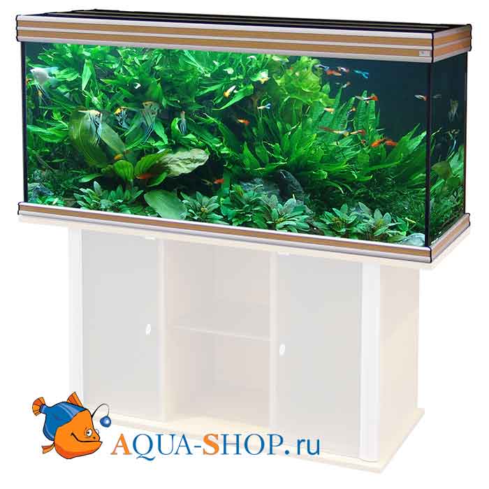 Aqua Shop Ru Аквариумный Интернет Магазин Aqua Shop Ru Аквариумный Интернет Магазин
