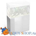    Aquael GLOSSY 100 