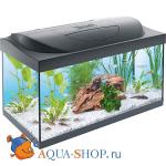  Tetra Starter Line LED, 54