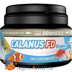  Dennerle Calanus FD       12 .