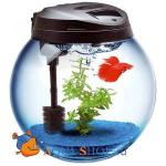  Aquael SPHERE 37, 25 (LED 3W)