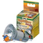  JBL ReptilDay Halogen 35