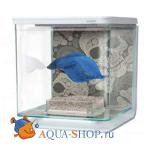  Hagen Marina Betta Kit Skull 2