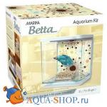  Marina Betta Kit Boy FireWorks 2